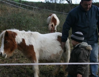  Granja de Happy Forest 